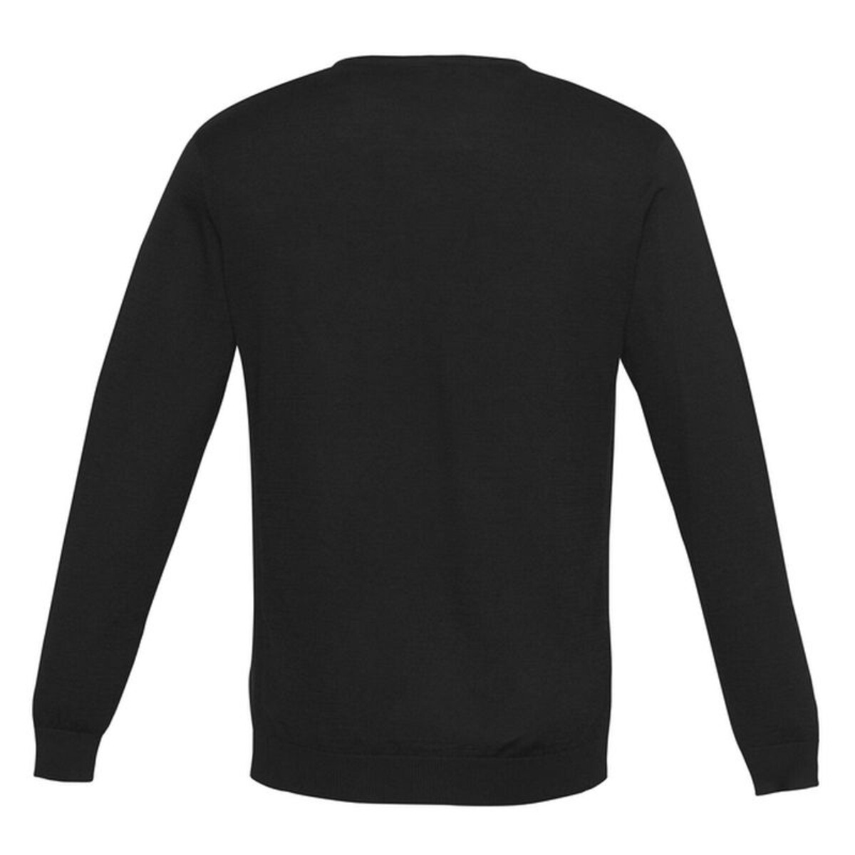 Back view