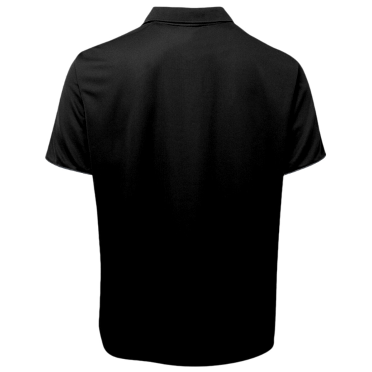 Back view