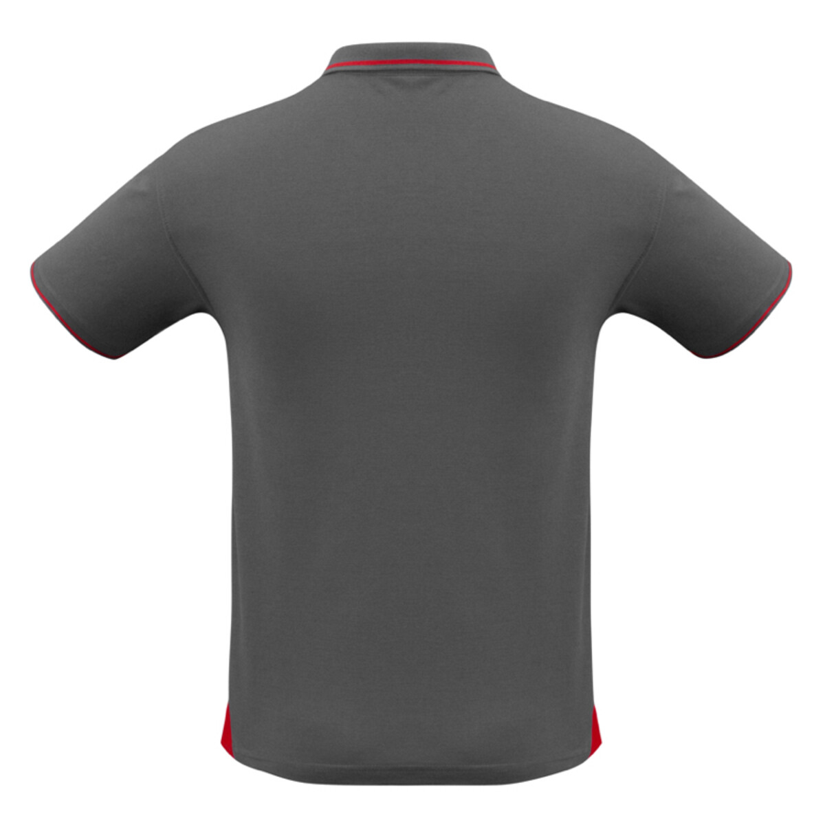 Back view